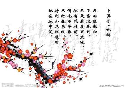 第1课卜算子 * 咏梅