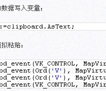delphi 字符复制粘贴